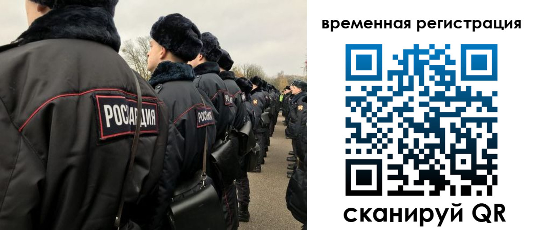 прописка гарантия в Дмитрове